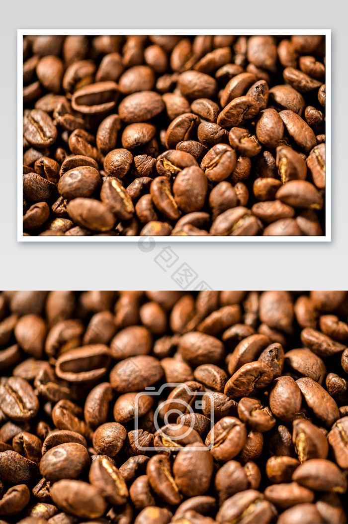 褐色咖啡豆种子特写摄影图