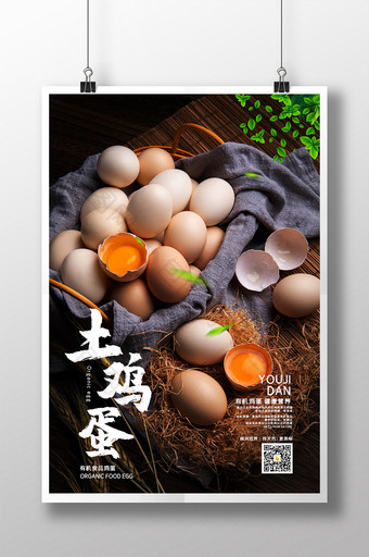 简约清新新鲜自然有机土鸡蛋食品宣传海报图片