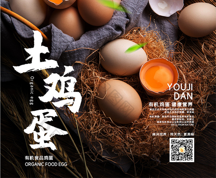 简约清新新鲜自然有机土鸡蛋食品宣传海报