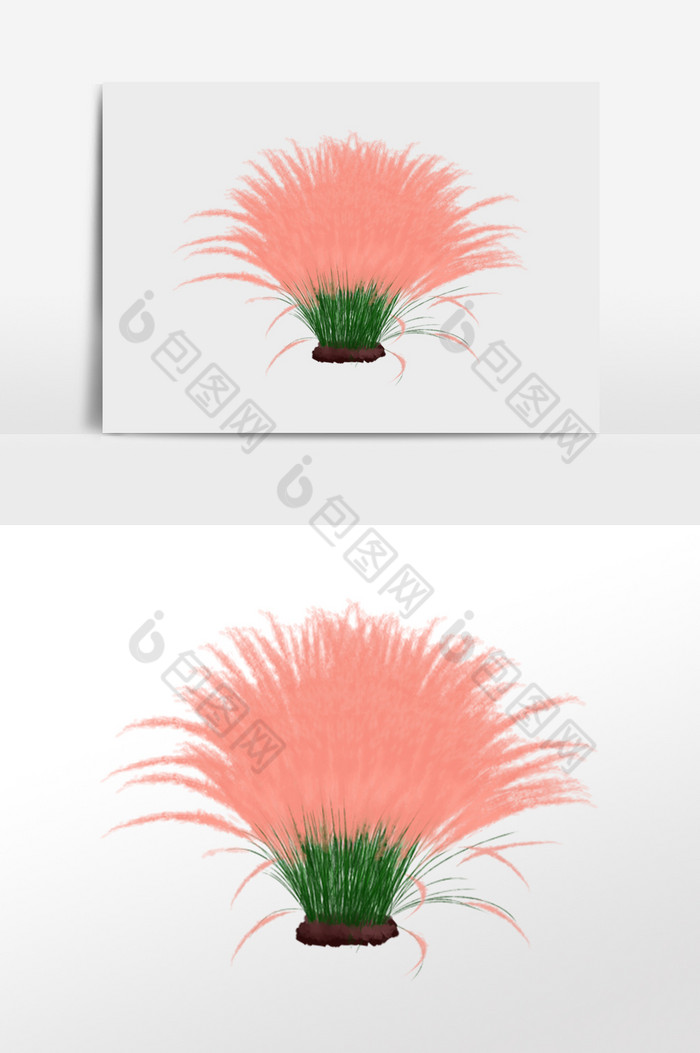 花海粉黛乱子草