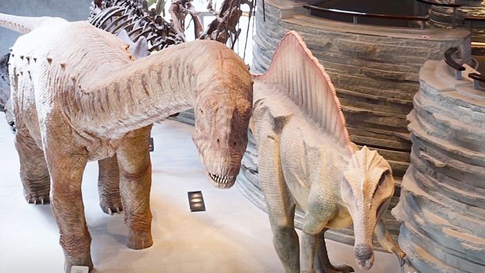 上海自然博物馆恐龙羊禽类模型实拍视频