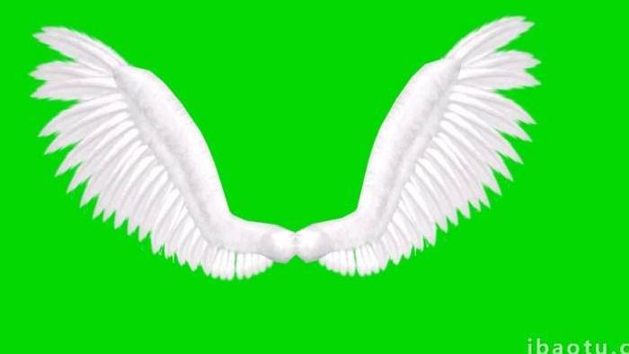 绿色抠像白色天使翅膀扇动合成素材