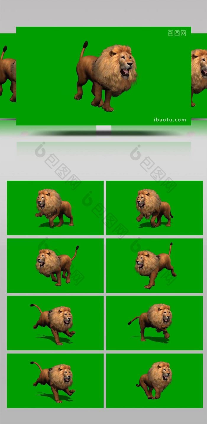 绿色抠像公狮子奔跑动物合成素材
