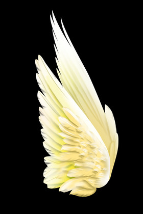 天使翅膀羽翼图片