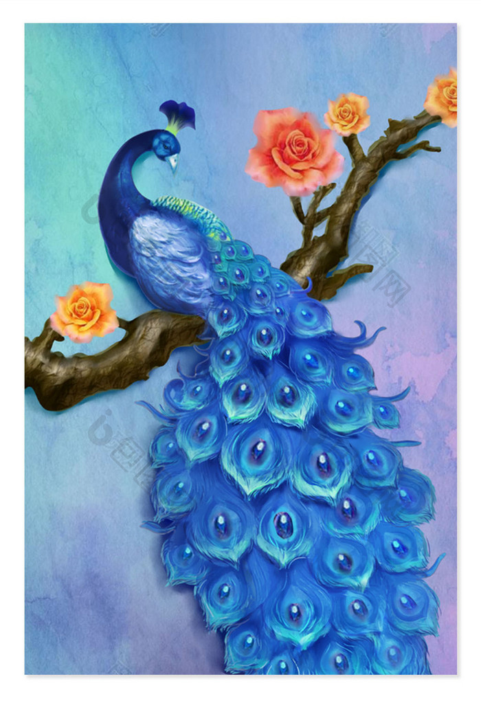 唯美动物蓝色孔雀