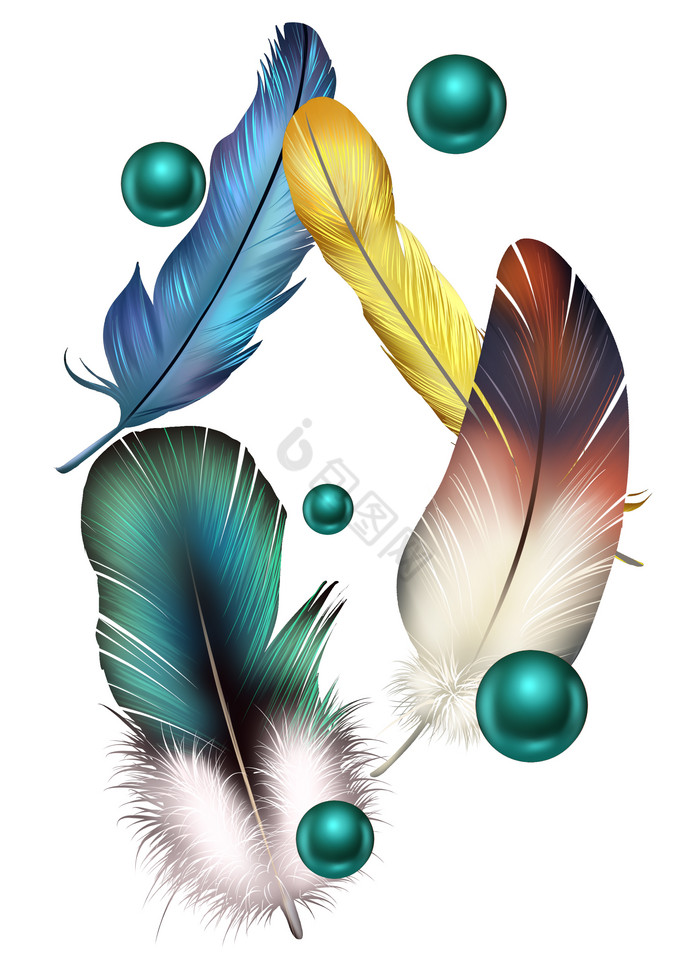 彩色动物羽毛带珍珠图片