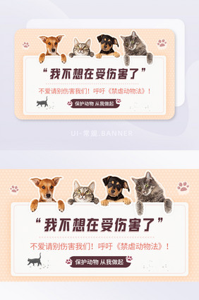 猫狗保护动物禁止虐待动物banner