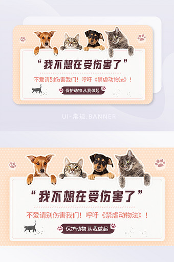 猫狗保护动物禁止虐待动物banner图片