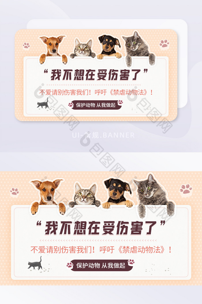 猫狗保护动物禁止虐待动物banner