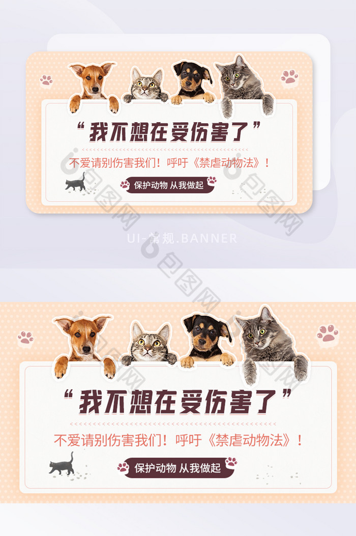 猫狗保护动物禁止虐待动物banner图片图片