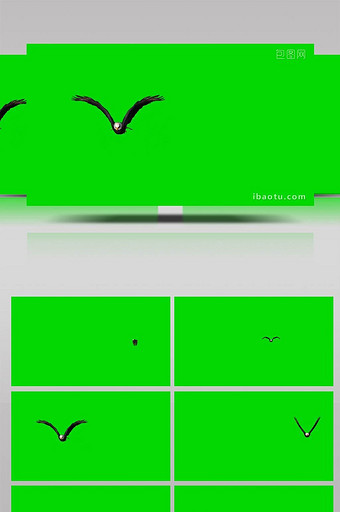 绿色抠像动物一只鹰飞行合成素材图片