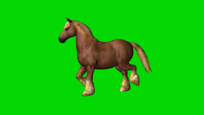 绿色抠像小灰色马行走合成视频
