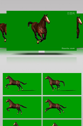 奔跑中的动物马展示合成素材图片