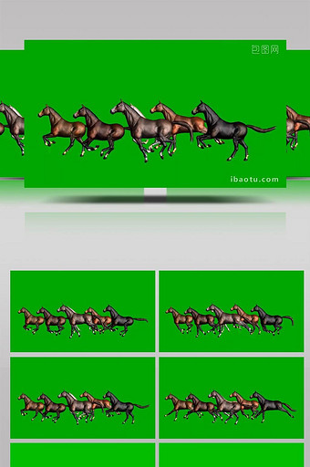 一群马动物奔跑中合成抠像素材图片