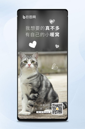 关爱流浪猫狗动物 从我做起手机海报