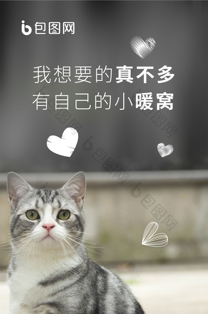 关爱流浪猫狗动物 从我做起手机海报