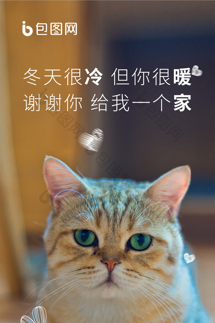 关爱动物猫狗行动从我做起手机海报