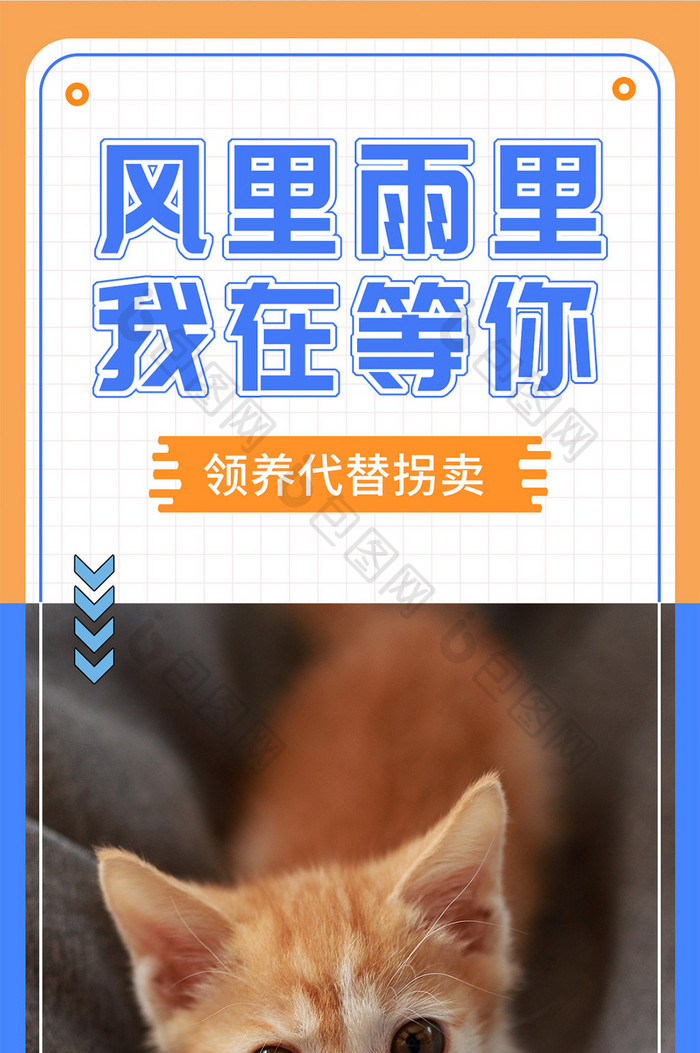 关爱动物流浪猫狗公益海报