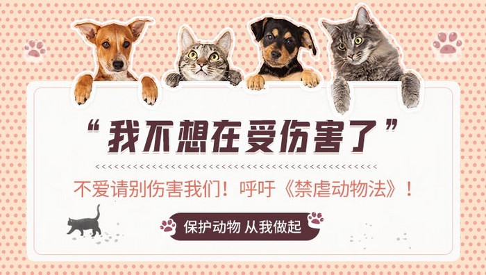 猫狗保护动物禁止虐待动物banner动效