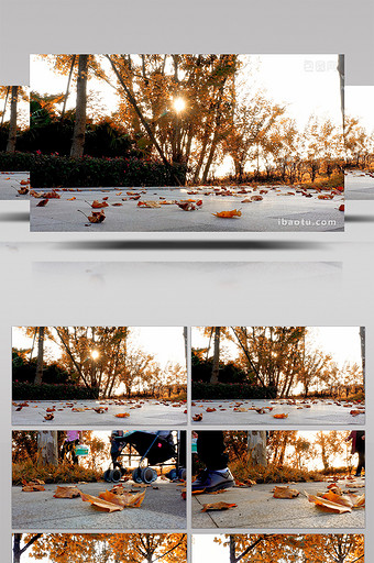 4K实拍秋天阳光明媚地上落叶行人走过图片