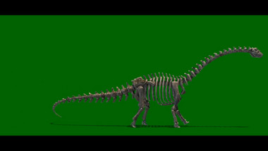 抠像骷髅架子恐龙行走合成素材