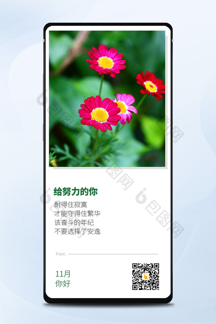 早安11月日签月初问候花朵图片图片