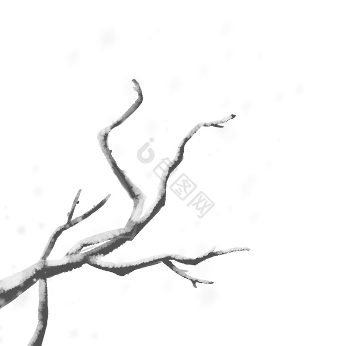 冬天雪景落雪树枝图片