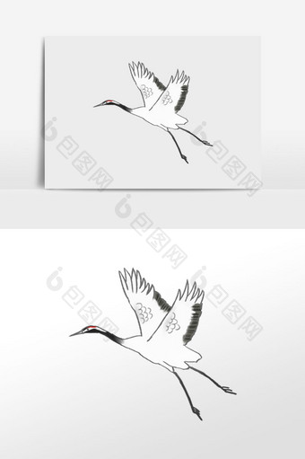 飞翔丹顶鹤野生动物图片
