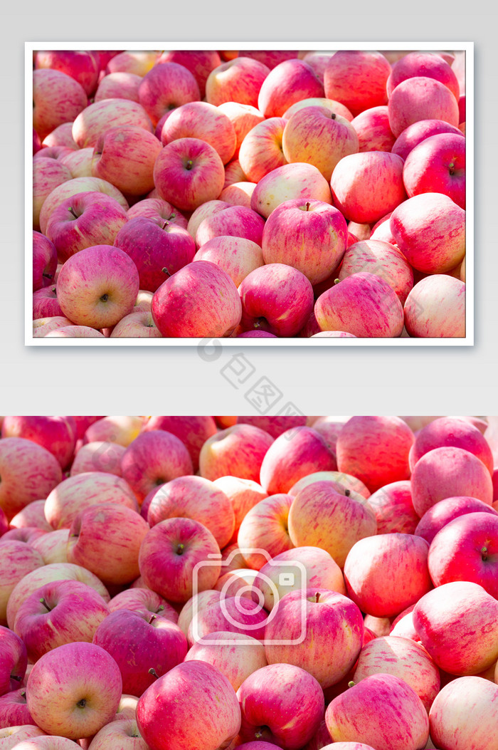 成熟的红苹果摄影图图片图片