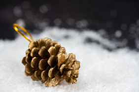 圣诞节雪花上的松果