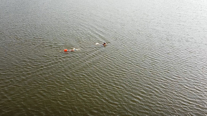 秋天游泳爱好者在湖里畅游