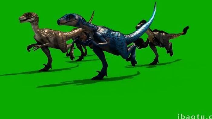 一群恐龙快速的奔跑中合成素材