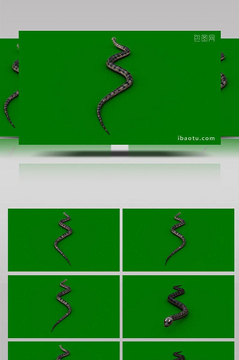 蛇在游动展示爬行合成素材图片