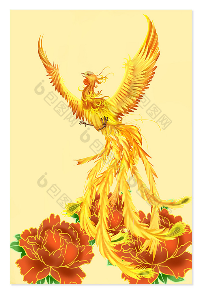 金凤凰插画图片