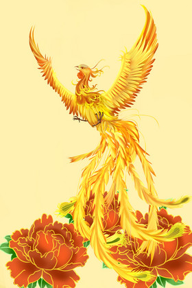 金凤凰