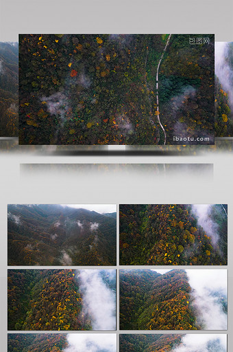 震撼航拍唯美原始森林彩叶秋天美景图片