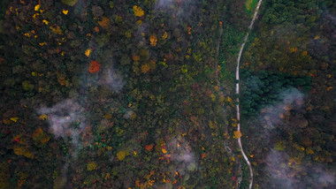 震撼航拍唯美原始森林彩叶秋天美景