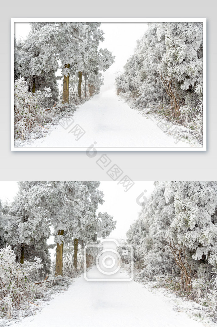 衡山森林雪景道路图片图片