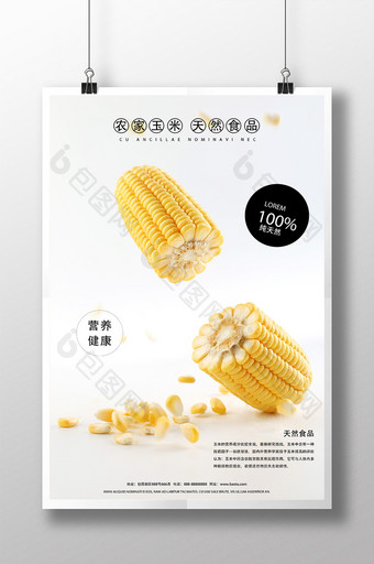 简约农家天然玉米蔬果美食海报图片