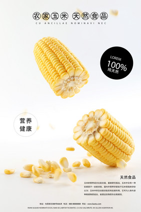 简约农家天然玉米蔬果美食海报