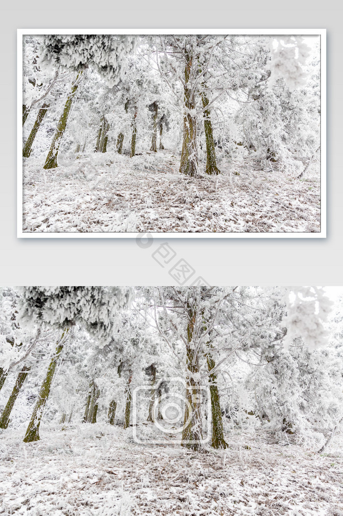 冬天衡山森林雪景