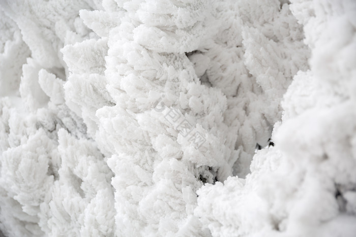 冬季雪景冰封的树枝图片