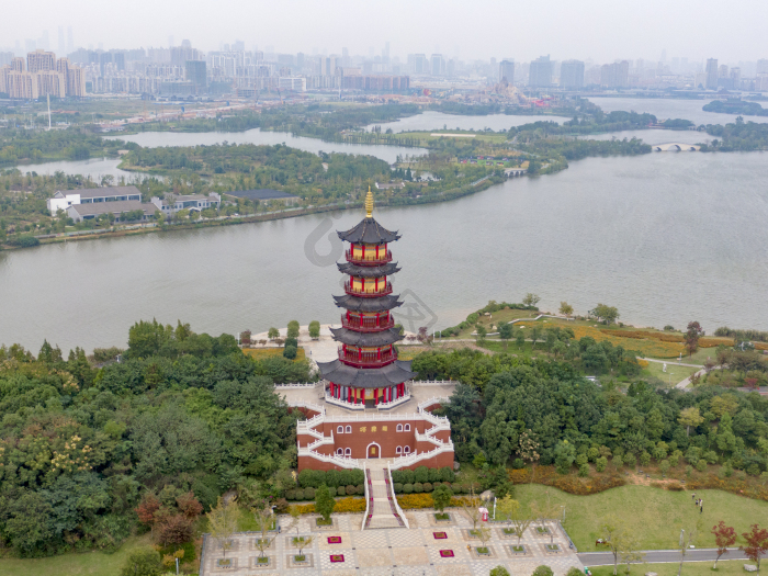万寿花图片-包图网