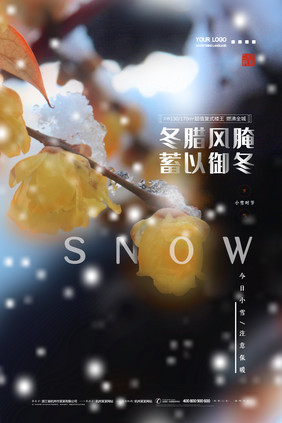 创意简约冬腊风腌蓄以御冬小雪海报