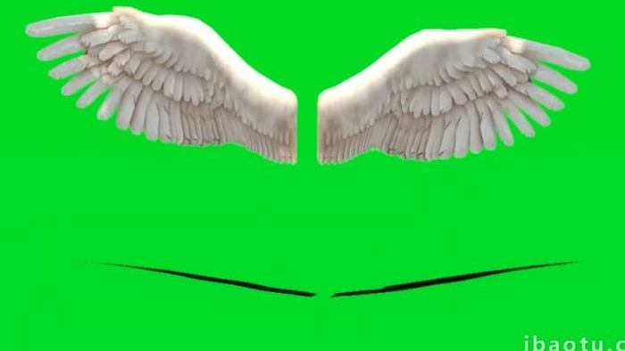 白色天使翅膀展示合成抠像素材