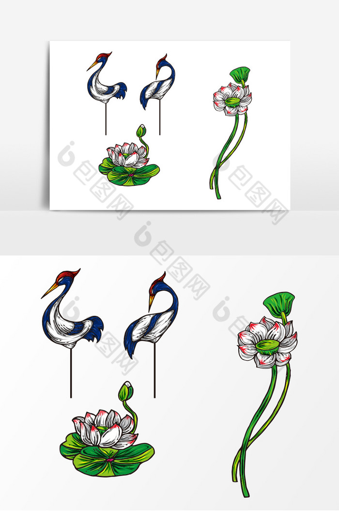 彩色荷花仙鹤插画图片图片