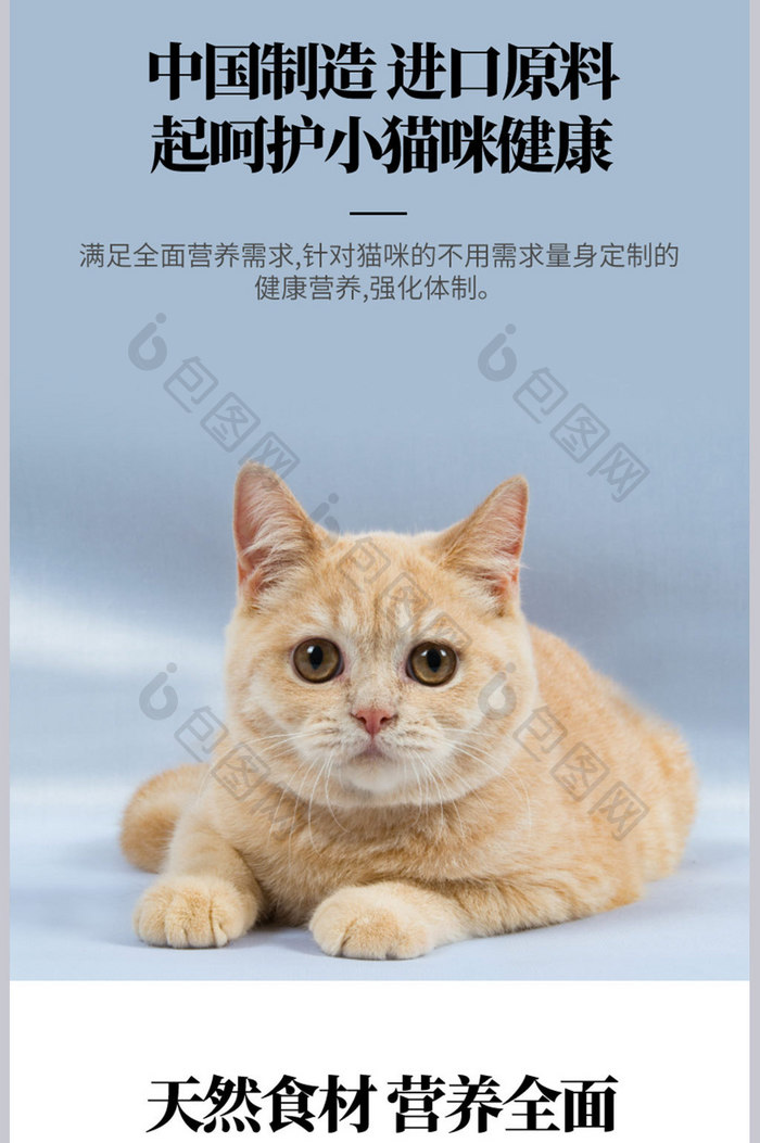 电商淘宝天猫宠物用品猫粮狗粮详情页模板