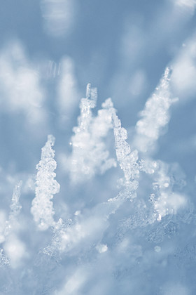 霜花雪花冬季肌理冬天