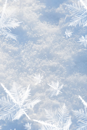 冬季霜花雪花肌理下雪寒冷背景图片