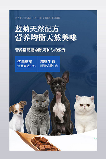 电商天猫宠物用品猫粮狗粮详情页模板设计图片